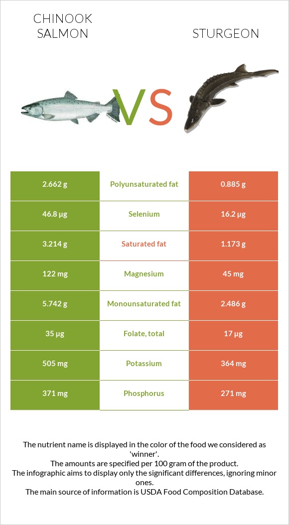 Chinook salmon vs Sturgeon infographic