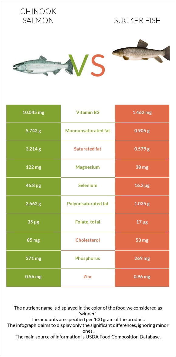 Սաղմոն չավիչա vs Sucker fish infographic