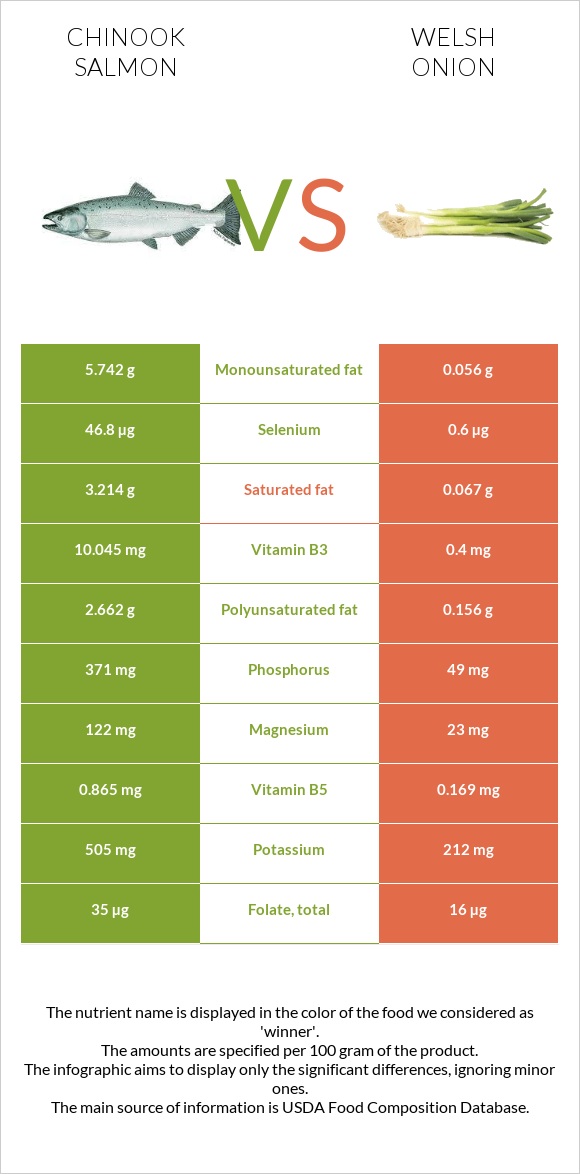 Chinook salmon vs Welsh onion infographic