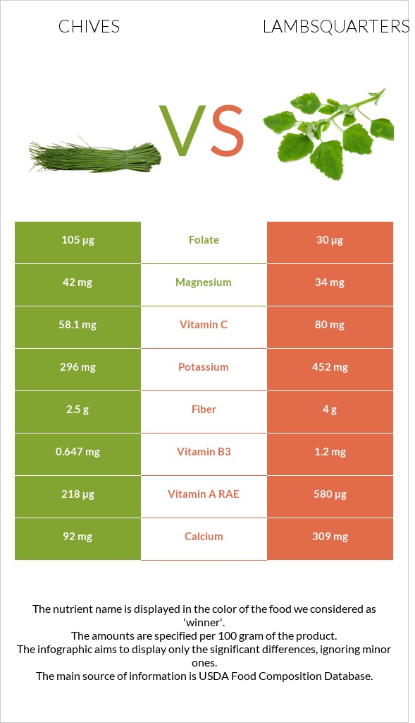 Chives vs Lambsquarters infographic