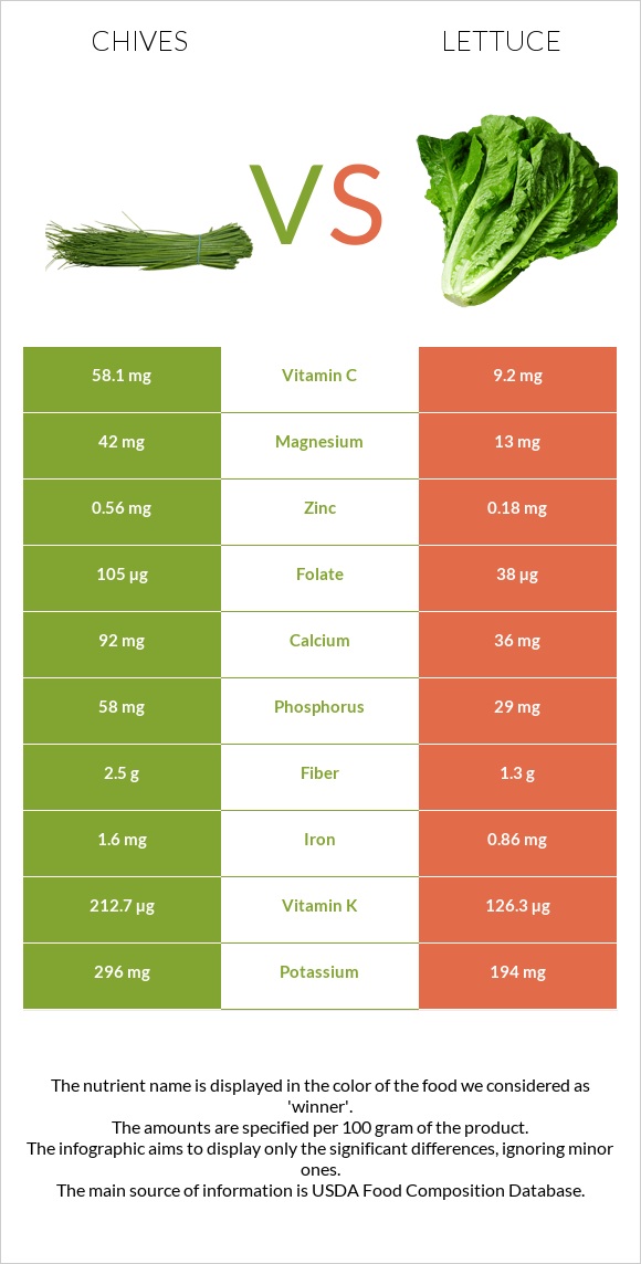 Chives vs Lettuce infographic