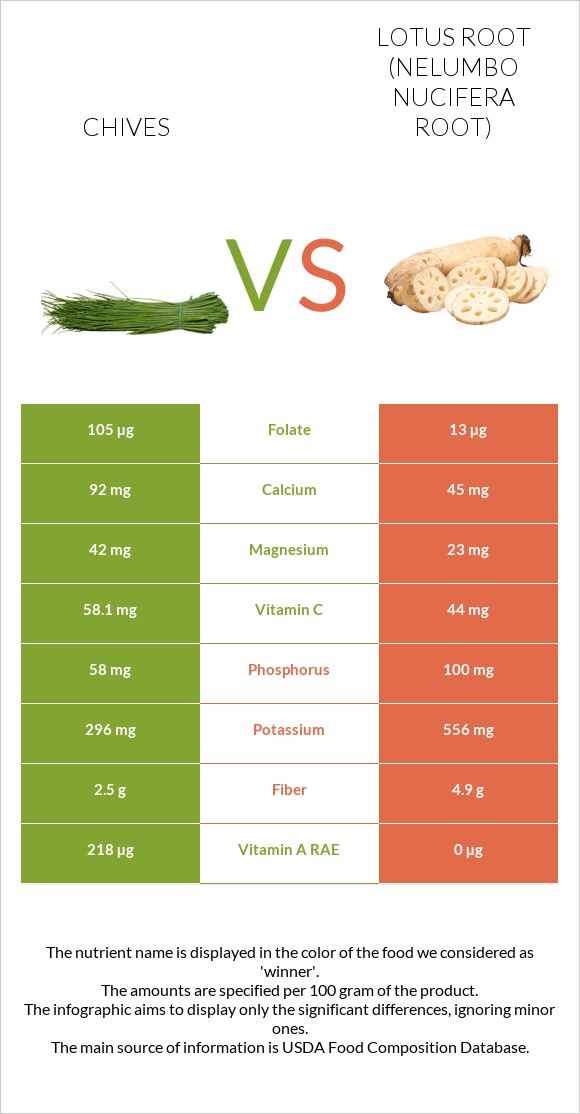 Chives vs Lotus root infographic