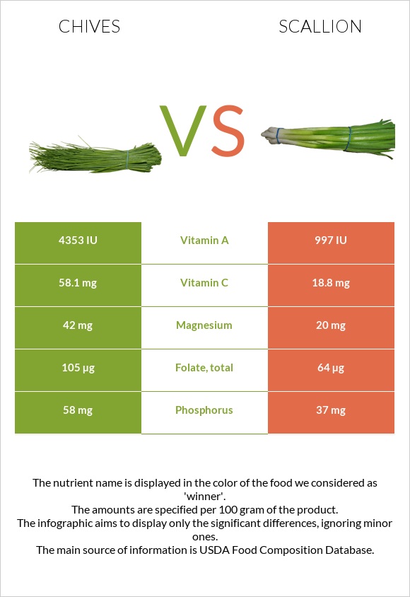 Chives vs Scallion infographic