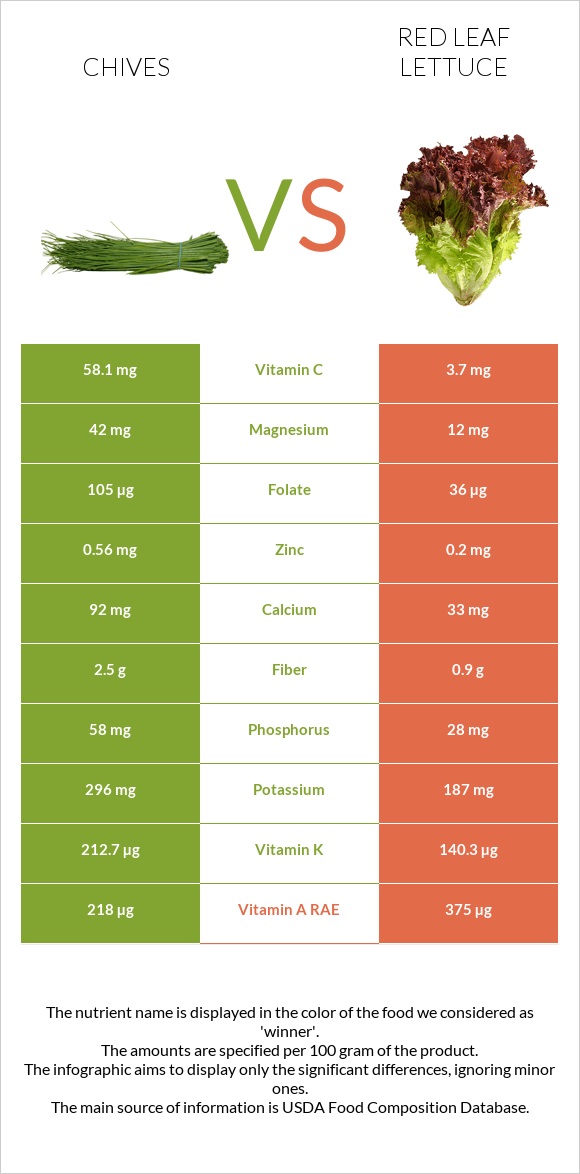 Chives vs Red leaf lettuce infographic