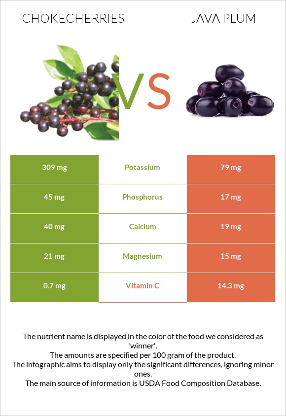 Chokecherries vs Java plum infographic