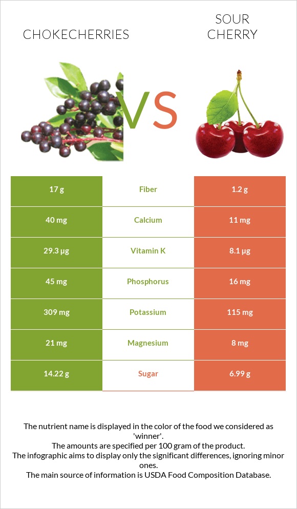 Chokecherries vs Sour cherry infographic