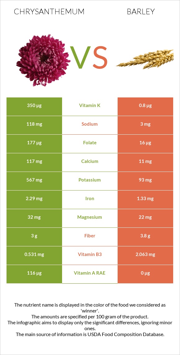 Chrysanthemum vs Barley infographic