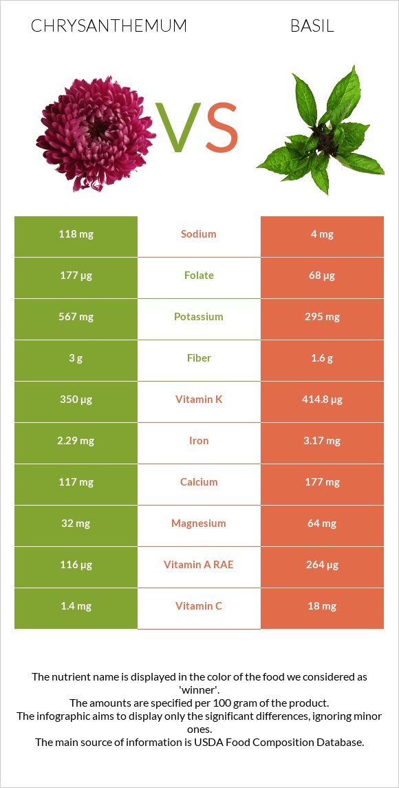 Chrysanthemum vs Basil infographic