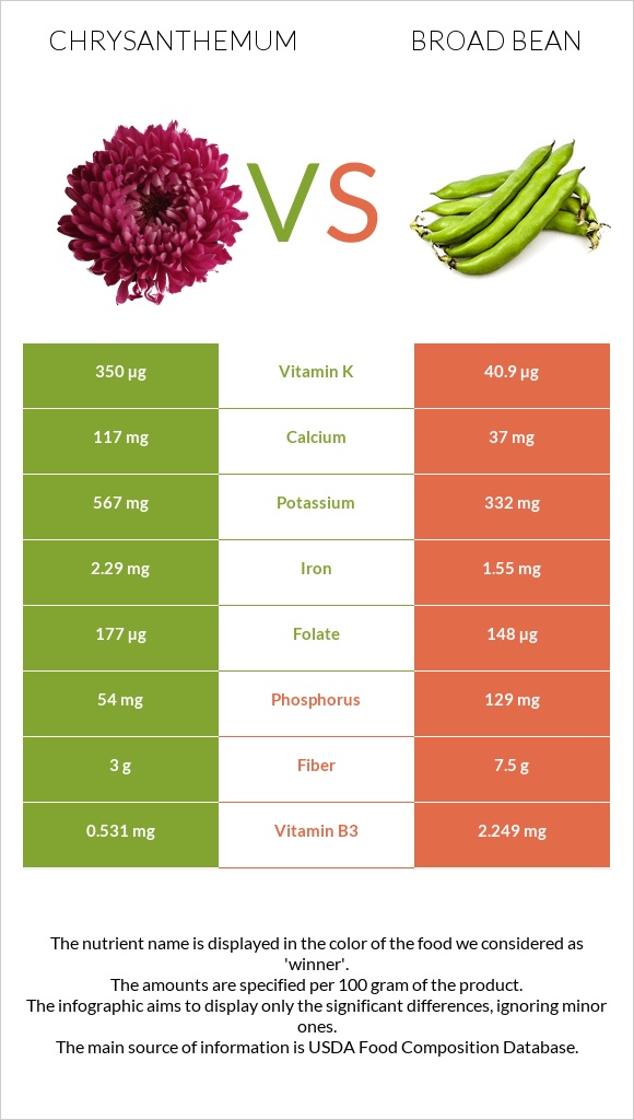 Chrysanthemum vs Broad bean infographic