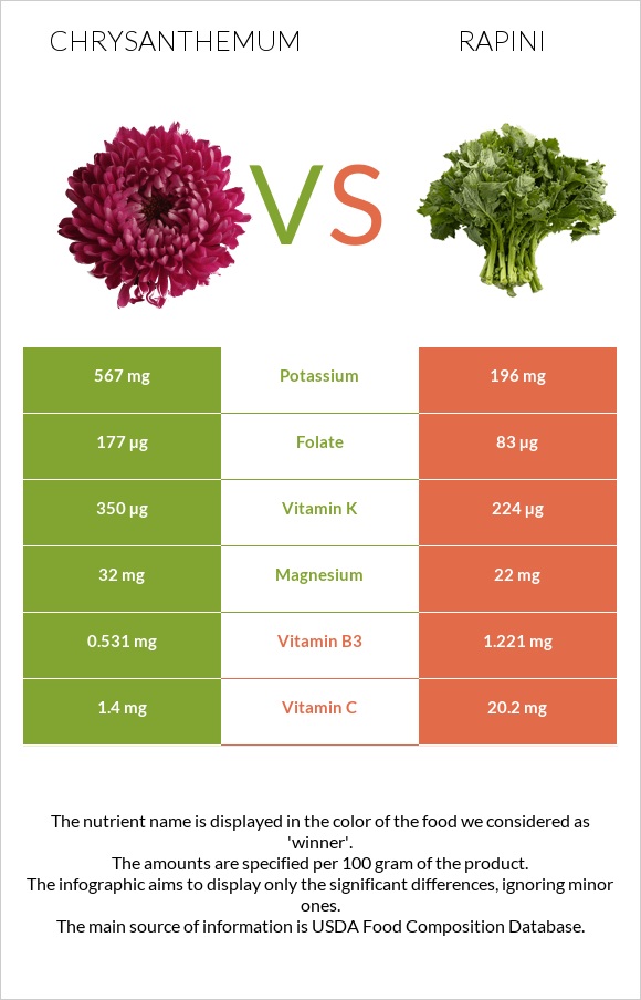 Chrysanthemum vs Rapini infographic