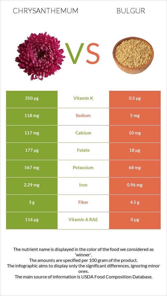 Chrysanthemum vs Bulgur infographic