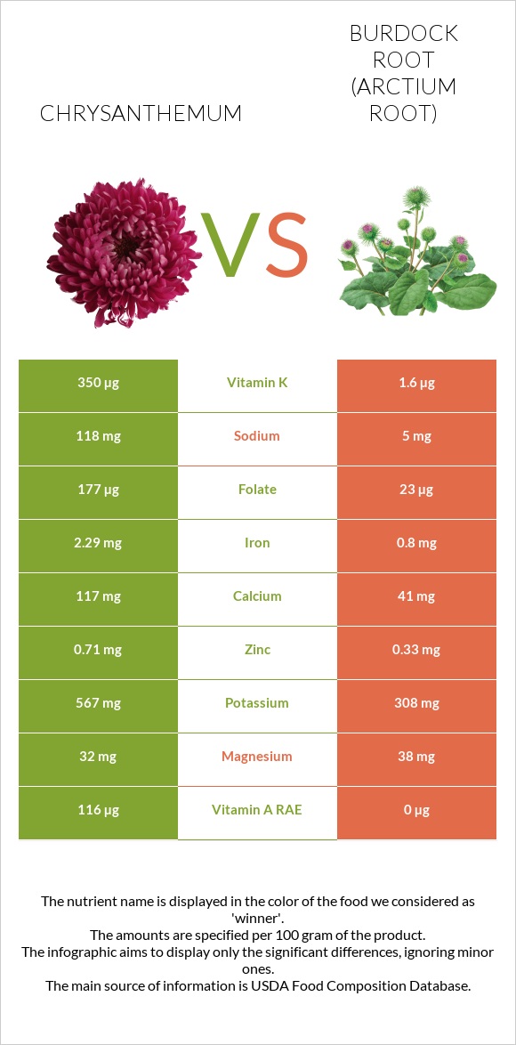 Chrysanthemum vs Burdock root infographic