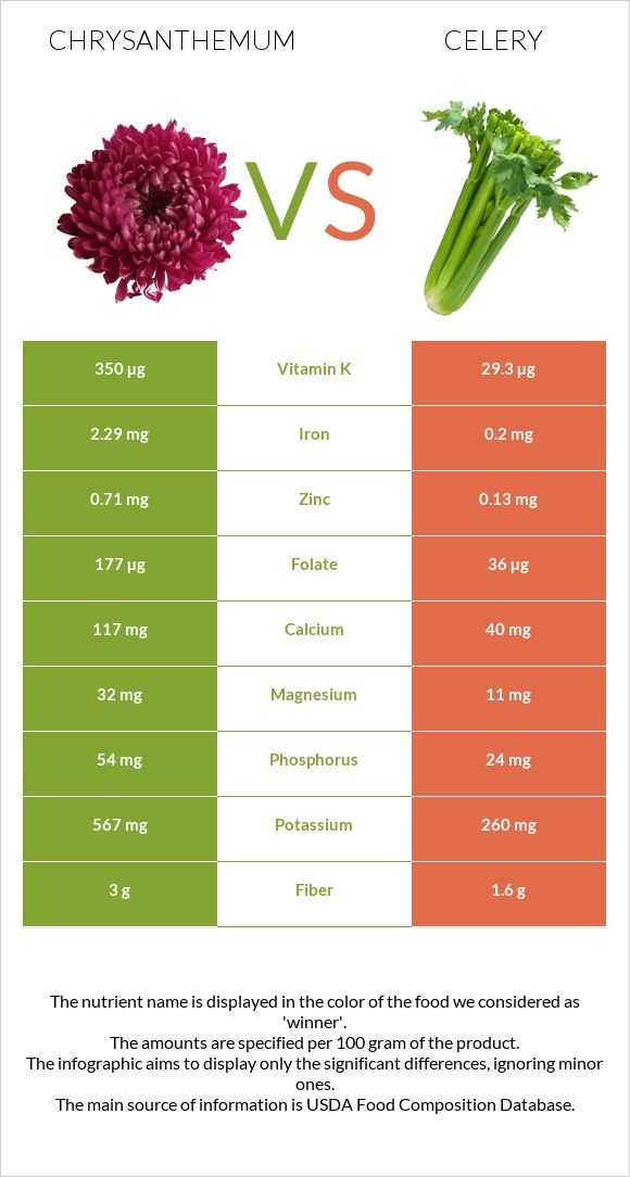 Chrysanthemum vs Celery infographic