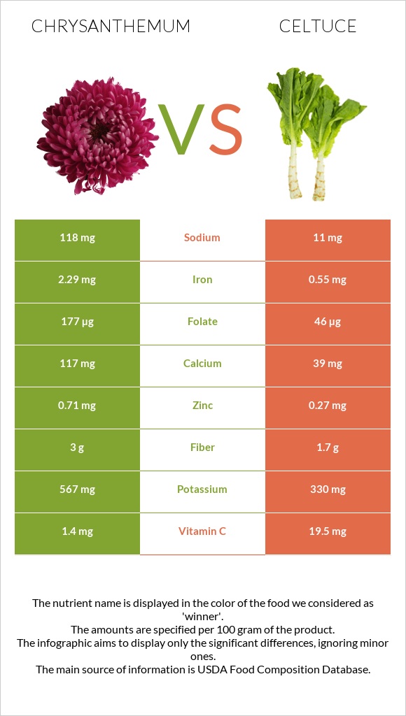 Chrysanthemum vs Celtuce infographic