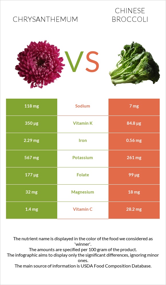 Chrysanthemum vs Chinese broccoli infographic