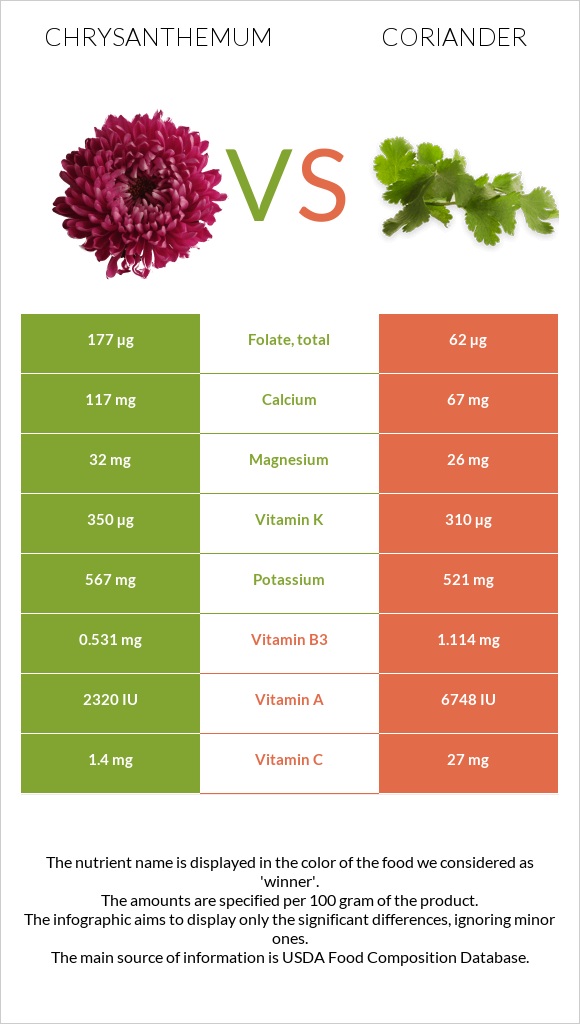 Chrysanthemum vs Coriander infographic