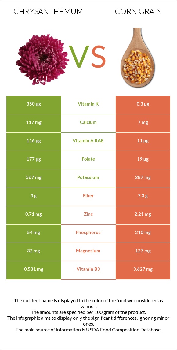 Chrysanthemum vs Corn grain infographic