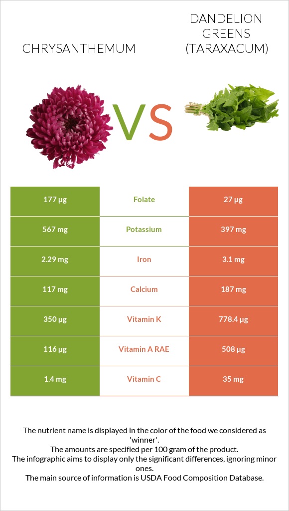 Chrysanthemum vs Dandelion greens infographic