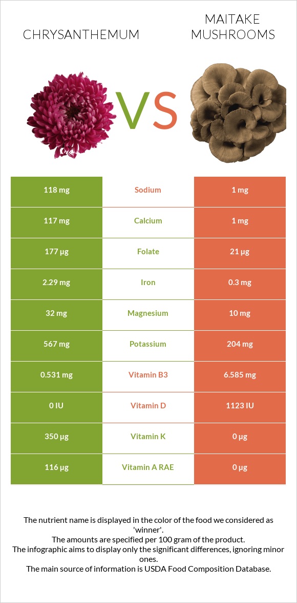 Chrysanthemum vs Maitake mushrooms infographic
