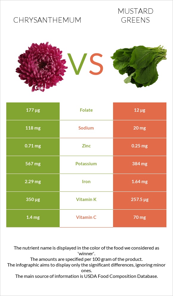Chrysanthemum vs Mustard Greens infographic