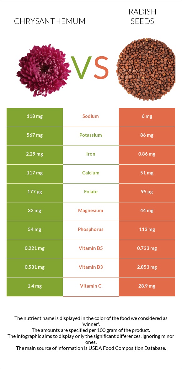 Chrysanthemum vs Radish seeds infographic