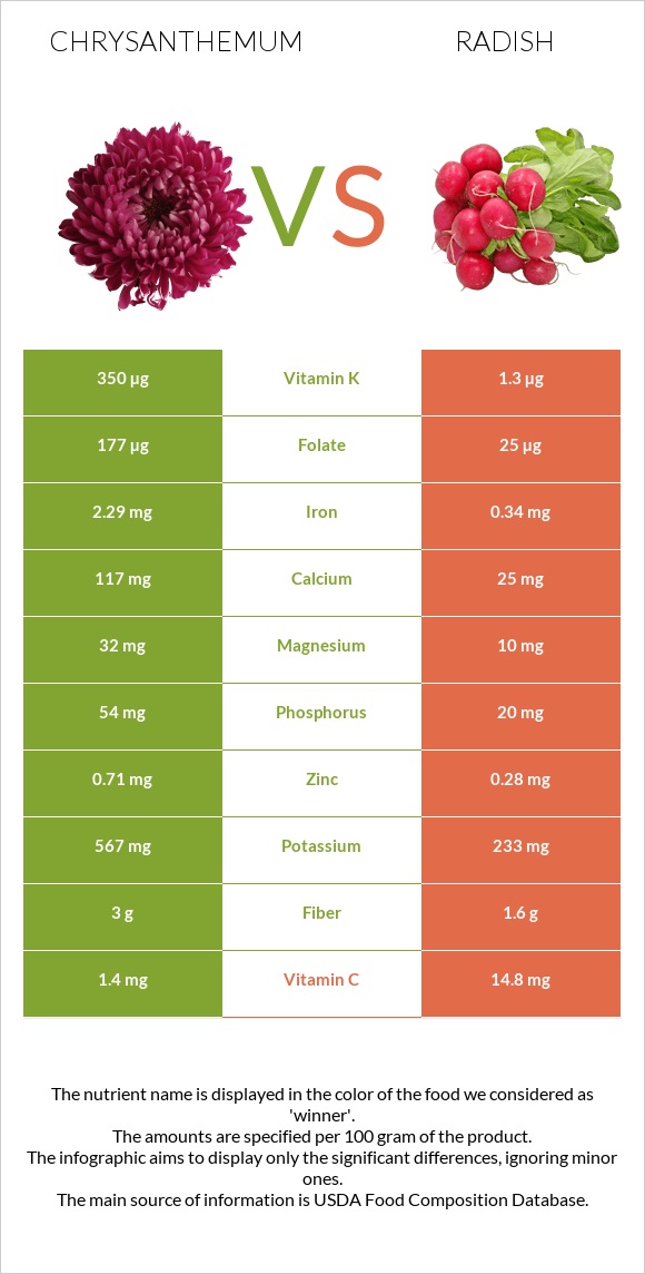 Chrysanthemum vs Radish infographic