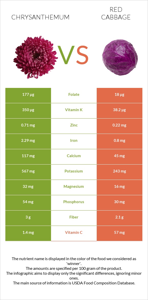 Chrysanthemum vs Red cabbage infographic