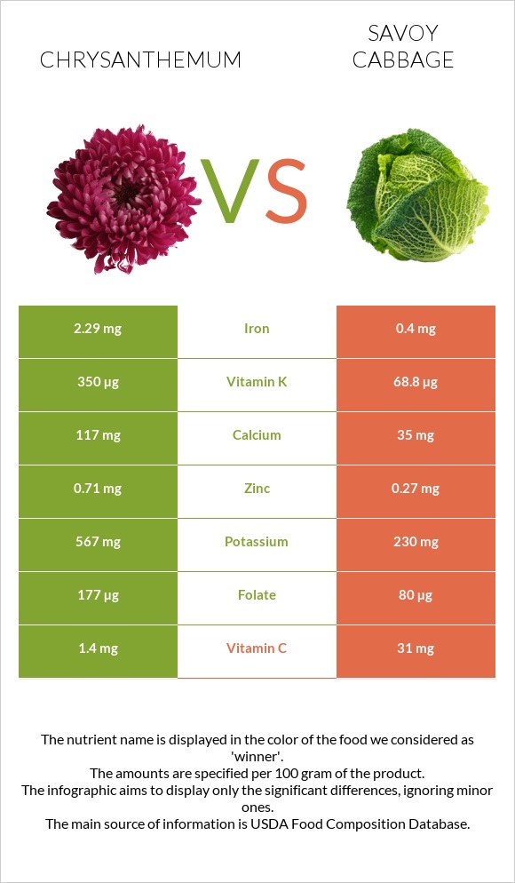 Chrysanthemum vs Savoy cabbage infographic