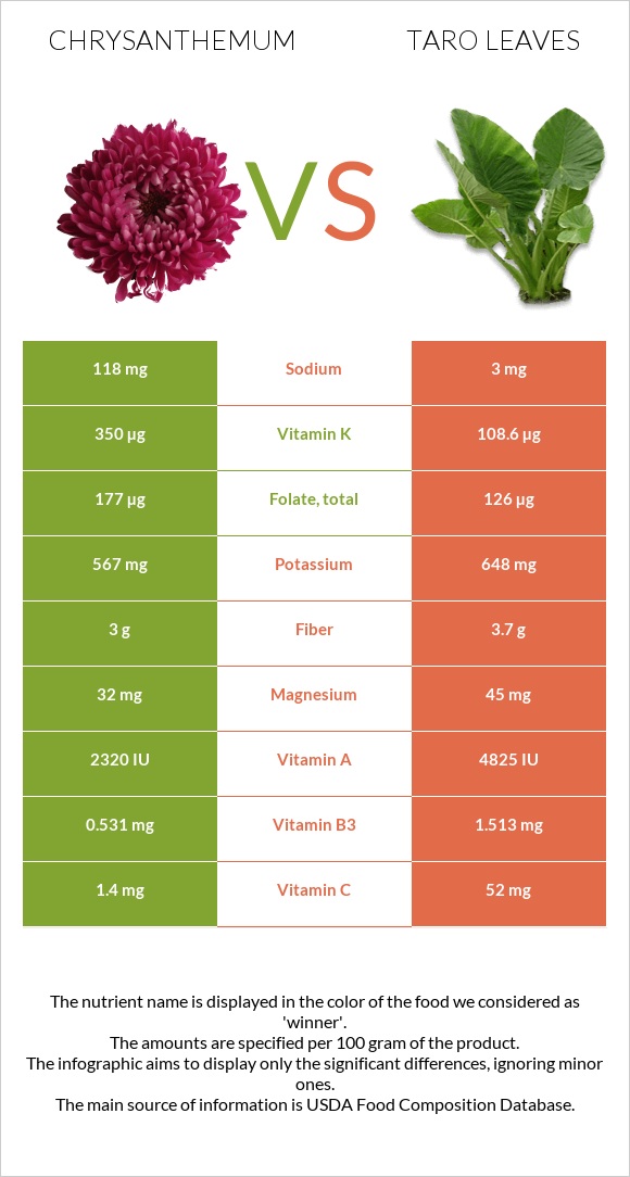 Chrysanthemum vs Taro leaves infographic