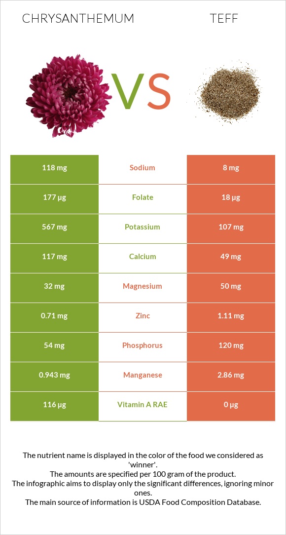 Քրիզանթեմ vs Teff infographic