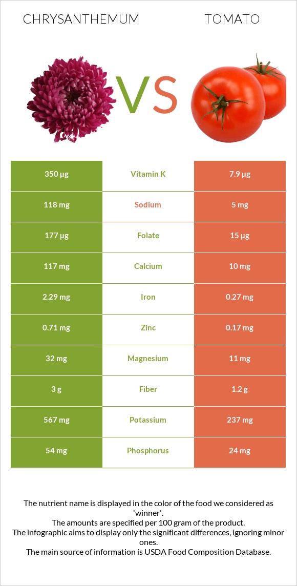 Chrysanthemum vs Tomato infographic