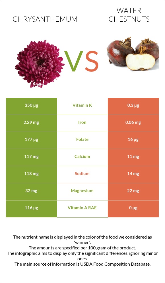 Chrysanthemum vs Water chestnuts infographic