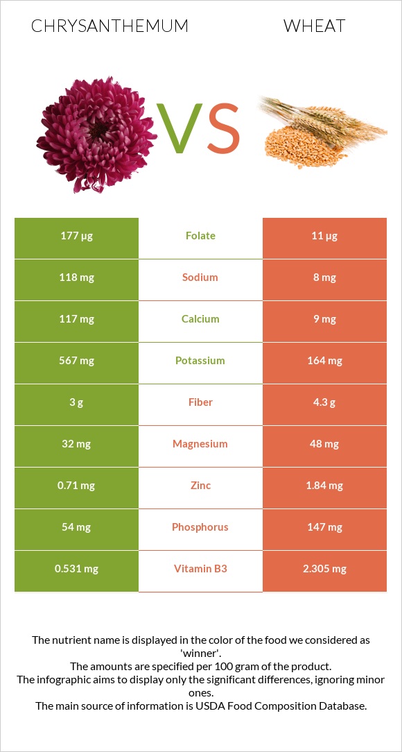 Chrysanthemum vs Wheat infographic