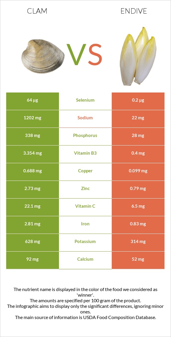 Կակղամորթ vs Endive infographic