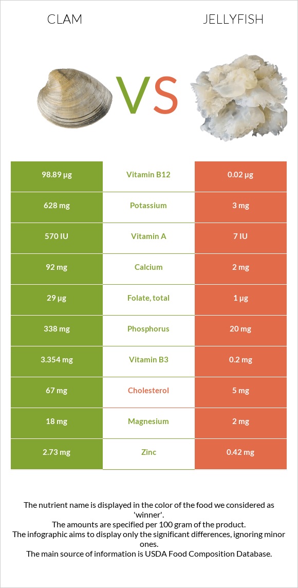 Clam vs Jellyfish infographic