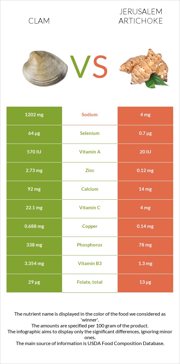 Clam vs Jerusalem artichoke infographic