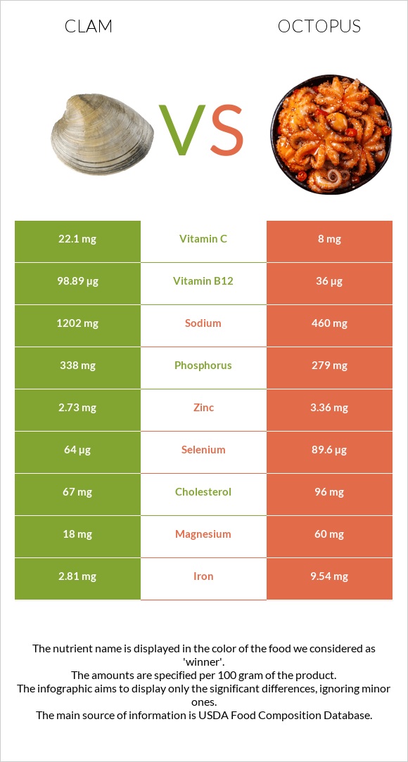 Clam vs Octopus infographic