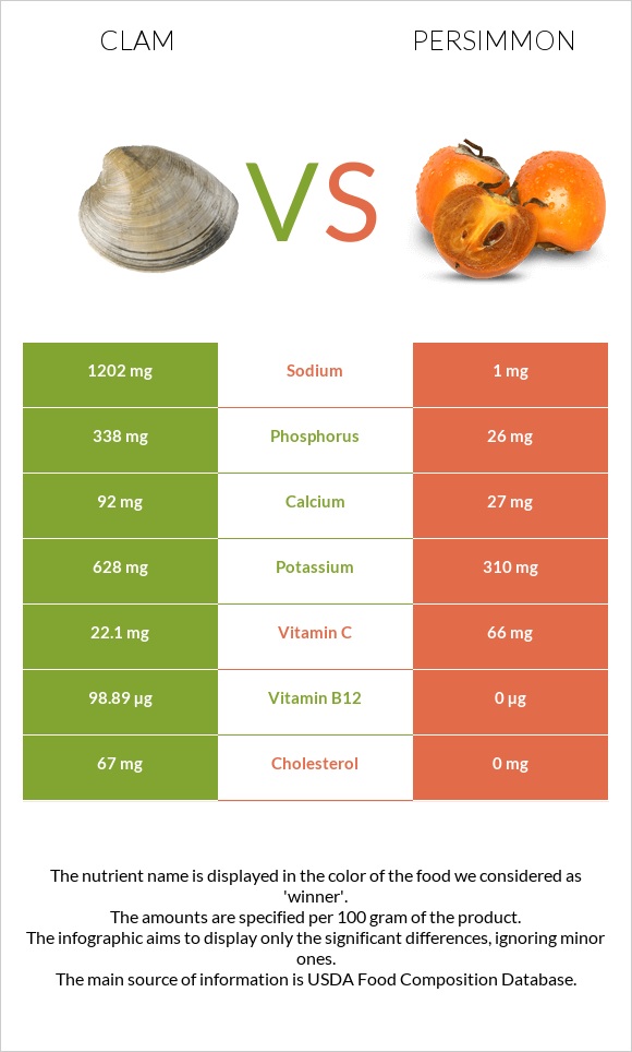 Clam vs Persimmon infographic