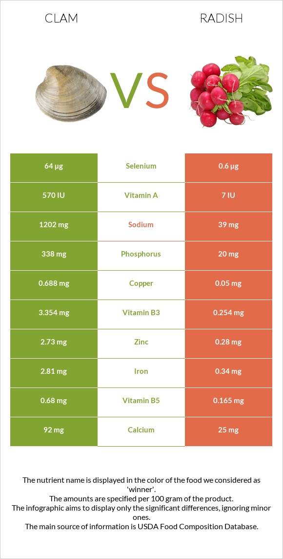 Clam vs Radish infographic