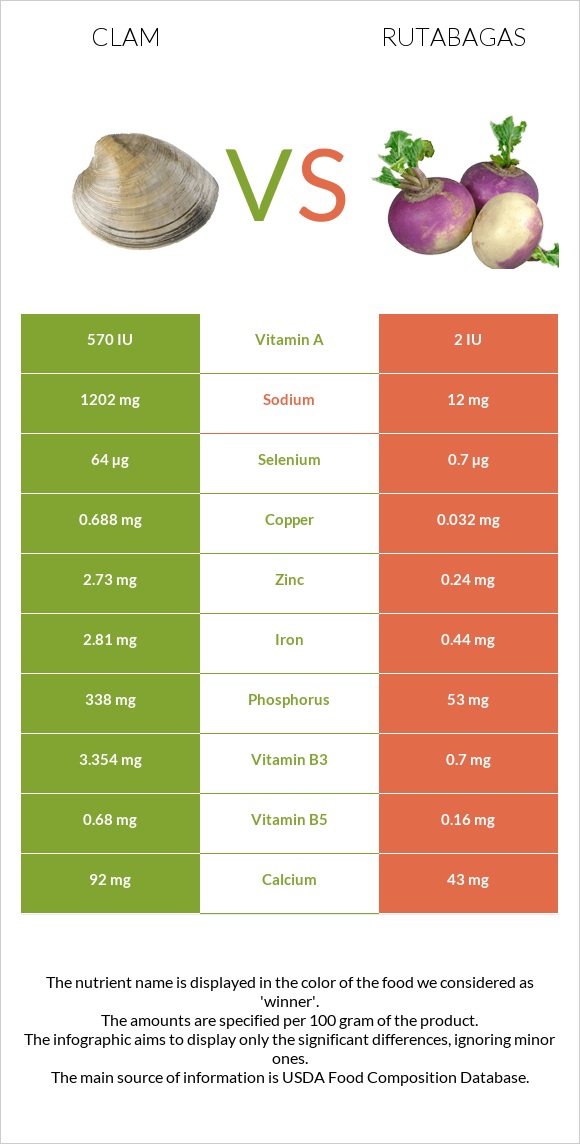 Clam vs Rutabagas infographic