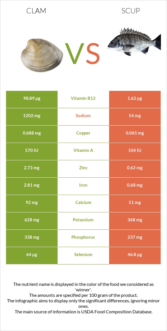 Clam vs Scup infographic