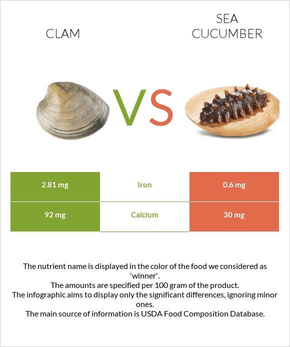 Clam vs Sea cucumber infographic