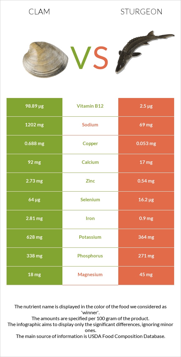 Clam vs Sturgeon infographic