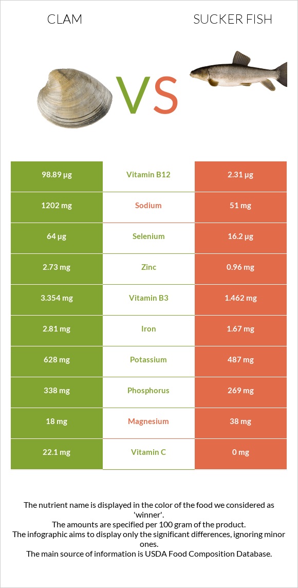 Կակղամորթ vs Sucker fish infographic