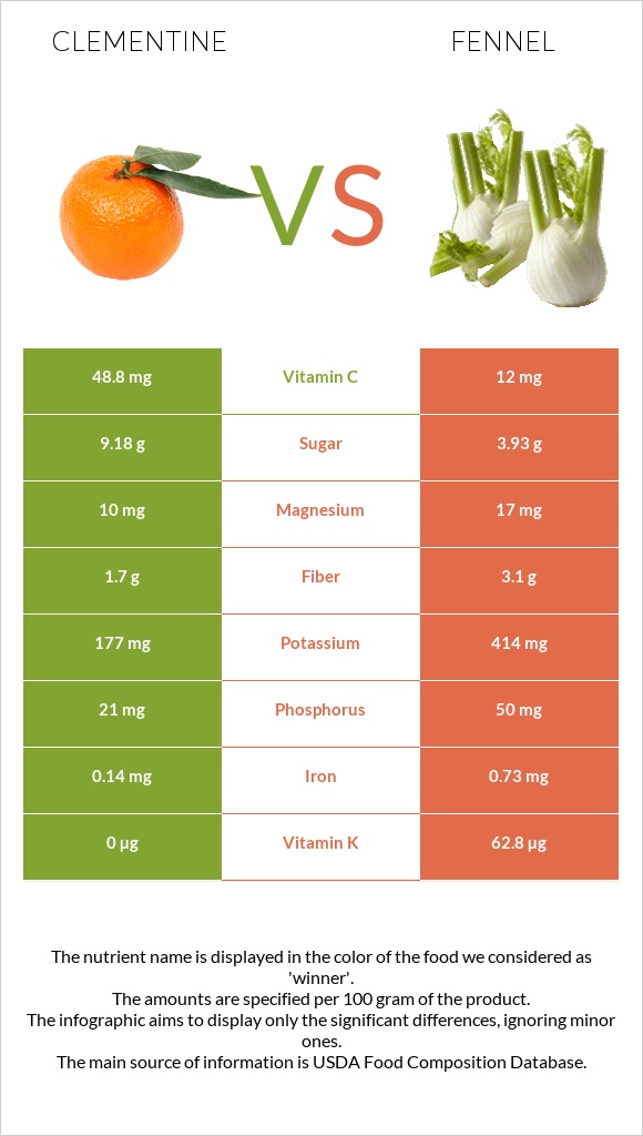 Clementine vs Fennel infographic
