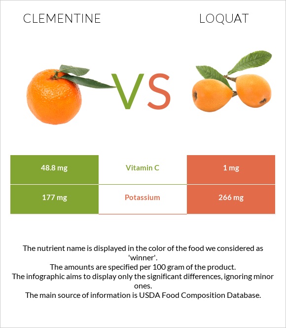 Clementine vs Loquat infographic
