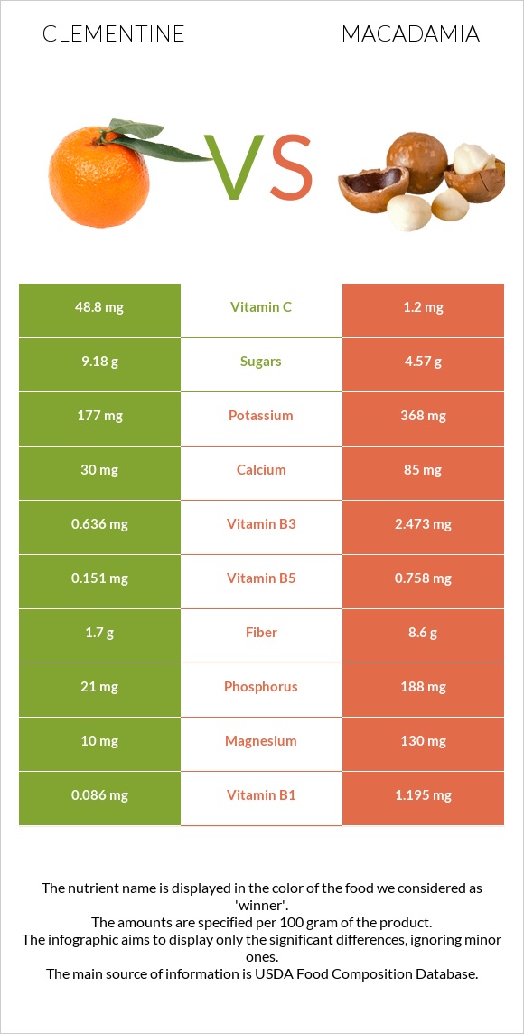 Clementine vs Macadamia infographic