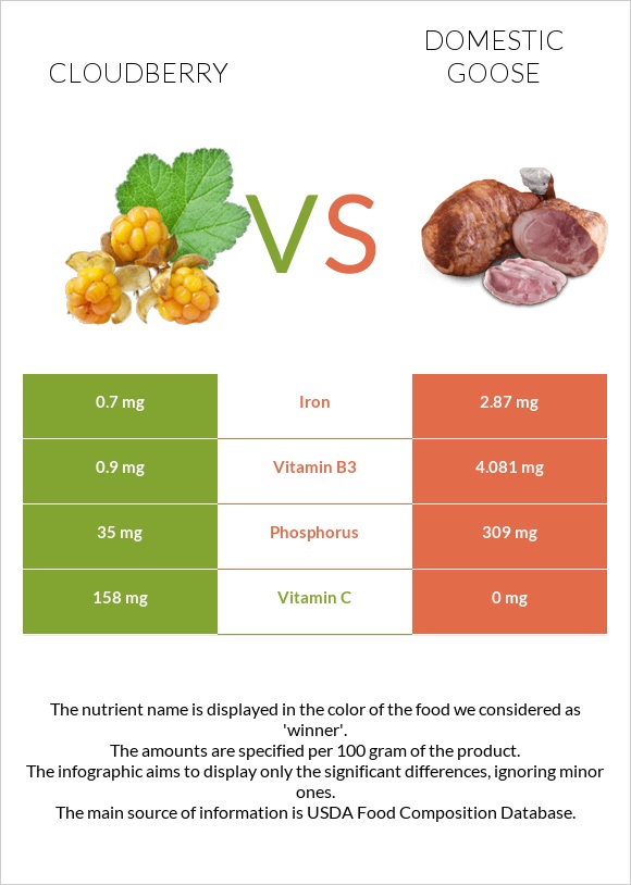 Cloudberry vs Domestic goose infographic