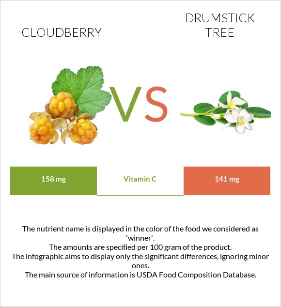 Cloudberry vs Drumstick tree infographic