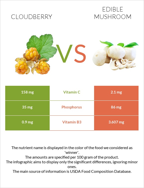 Cloudberry vs Edible mushroom infographic